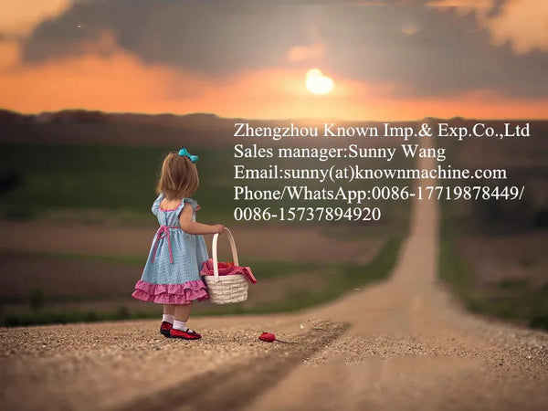 Electric Mobile Food Truck Trailer